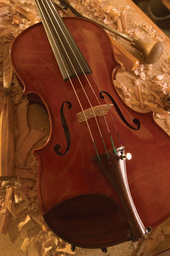 David violin