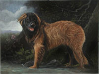 Leonberger by Madeline Falk