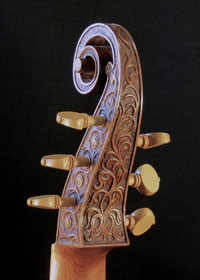 Timothy-G.-Johnson-Viol-Back_detail_web_th.jpg